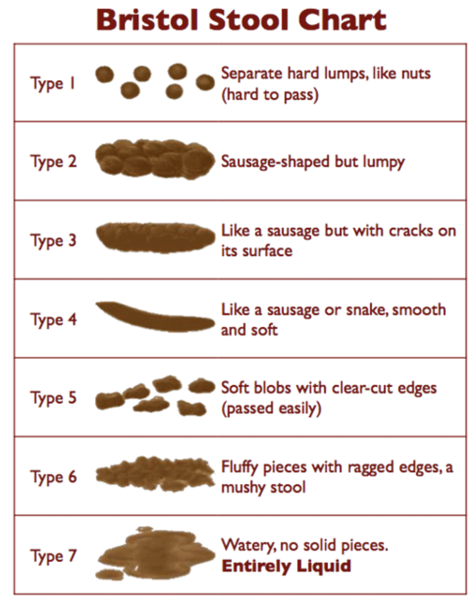 Bristol Stool Chart